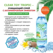 Очищающий спрей для игрушек CLEAR TOY Tropic - 100 мл. - Биоритм - купить с доставкой в Люберцах
