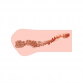 Мастурбатор-вагина Monica без вибрации - KOKOS - в Люберцах купить с доставкой