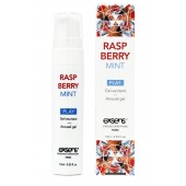 Возбуждающий гель Raspberry Mint с ароматом малины и мяты - 15 мл. - Exsens - купить с доставкой в Люберцах