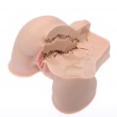 Мастурбатор-полуторс Naked Factory Kate - Naked Factory - в Люберцах купить с доставкой