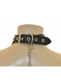 Ошейник  Веселый Роджер - Sitabella - купить с доставкой в Люберцах