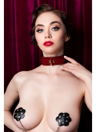 Красный ошейник из лакированного материала - ToyFa - купить с доставкой в Люберцах