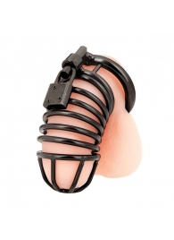 Черная металлическая клетка с замком Deluxe Chastity Cage - BlueLine - купить с доставкой в Люберцах