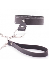 Узкий однослойный ошейник с поводком - Crazy Handmade - купить с доставкой в Люберцах