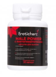 Капсулы для мужчин Erotichard male power с пантогематогеном - 20 капсул (0,370 гр.) - Erotic Hard - купить с доставкой в Люберцах