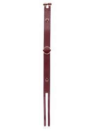 Бордовый ремень Halo Waist Belt - размер L-XL - Shots Media BV - купить с доставкой в Люберцах