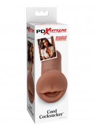 Мастурбатор-ротик Coed Cocksucker - Pipedream - в Люберцах купить с доставкой
