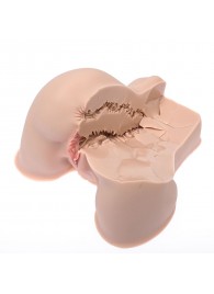 Мастурбатор-полуторс Naked Factory Kate - Naked Factory - в Люберцах купить с доставкой