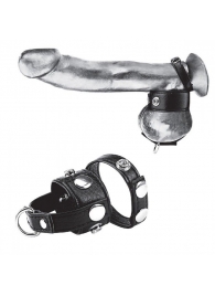 Утяжка для мошонки и пениса Cock Ring With 1  Ball Stretcher And Optional Weight Ring - BlueLine - купить с доставкой в Люберцах