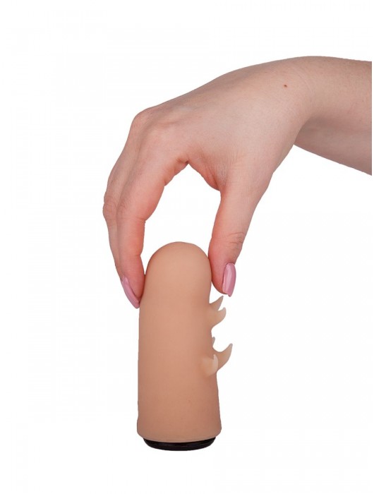 Черный пояс-трусики с двумя насадками  Экзотик-Sara  - 16,5 и 11 см. - LOVETOY (А-Полимер) - купить с доставкой в Люберцах