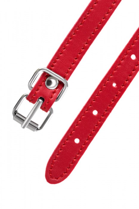 Красная маска Anonymo из искусственной кожи - ToyFa - купить с доставкой в Люберцах