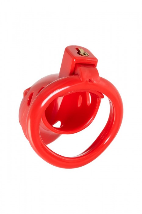 Красный мужской пояс верности из пластика - ToyFa - купить с доставкой в Люберцах