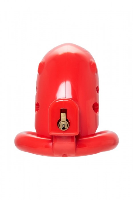 Красный мужской пояс верности из пластика - ToyFa - купить с доставкой в Люберцах