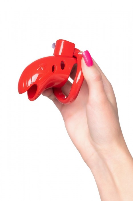 Красный мужской пояс верности из пластика - ToyFa - купить с доставкой в Люберцах