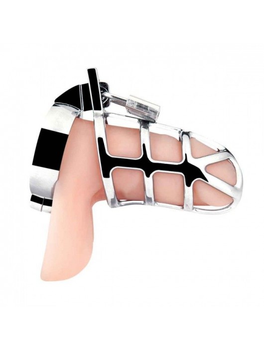 Серебристая металлическая клетка для члена с замком Enslave Cock Cage - BlueLine - купить с доставкой в Люберцах