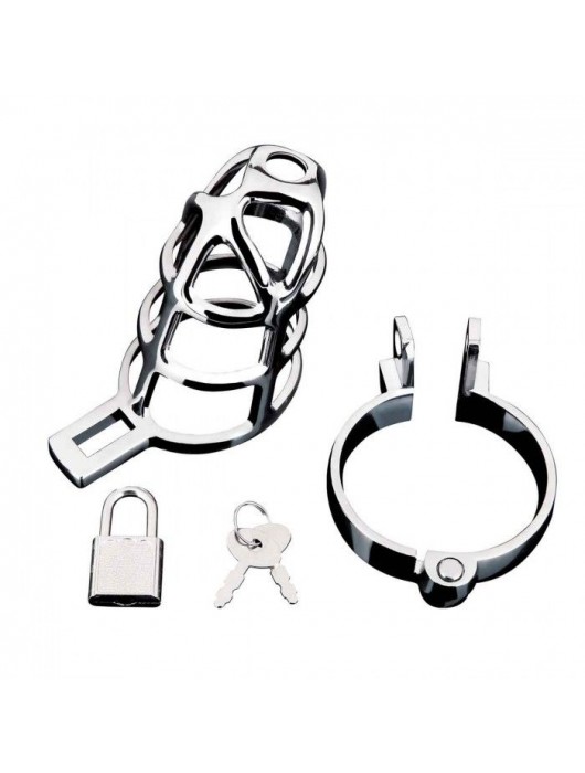 Серебристая металлическая клетка для члена с замком Enslave Cock Cage - BlueLine - купить с доставкой в Люберцах