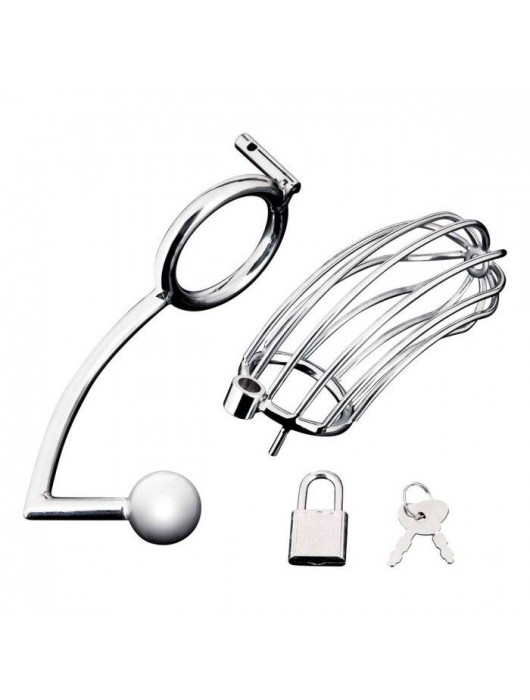 Серебристая металлическая клетка с анальным стимулятором Cock Cage - BlueLine - купить с доставкой в Люберцах