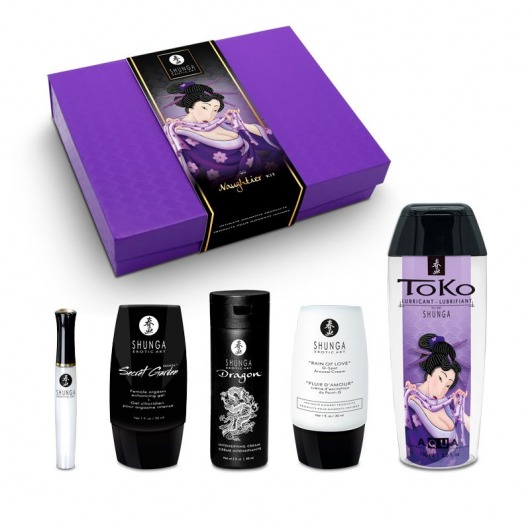 Подарочный набор Naughter Kit - Shunga - купить с доставкой в Люберцах