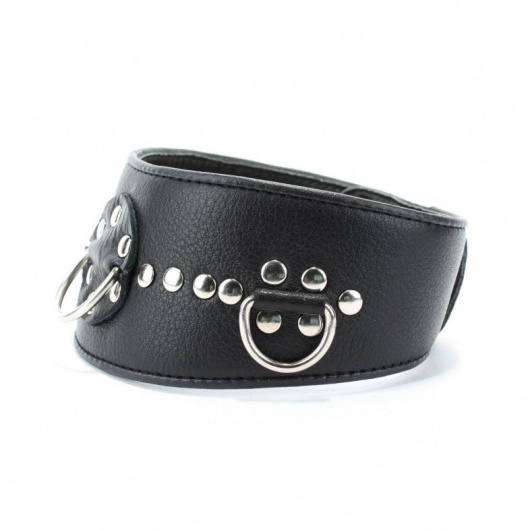 Чёрный кожаный ошейник с полукольцами и клёпками - БДСМ Арсенал - купить с доставкой в Люберцах