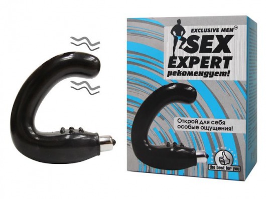 Чёрный массажёр простаты серии Sex Expert - Sex Expert - в Люберцах купить с доставкой