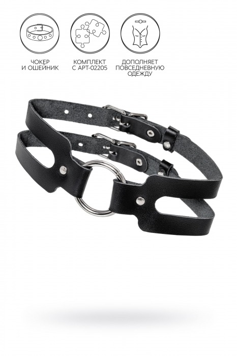 Черный кожаный чокер-ошейник из двух ремешков - Pecado - купить с доставкой в Люберцах