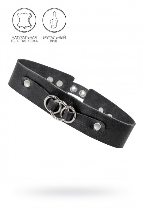 Черный чокер-ошейник со связанными кольцами на подложке - Pecado - купить с доставкой в Люберцах