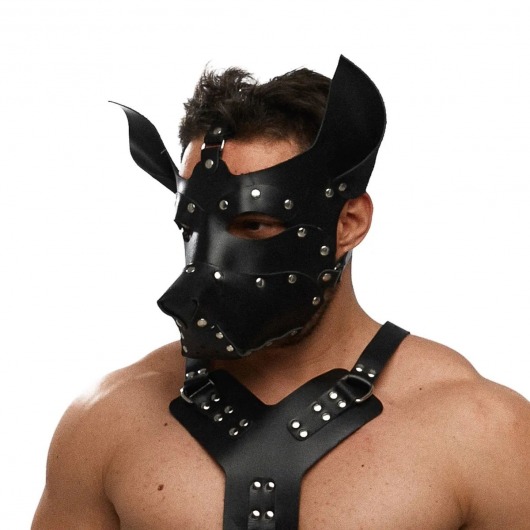 Черная кожаная маска «Собака» - Crazy Handmade - купить с доставкой в Люберцах