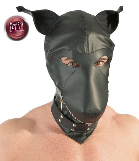 Шлем-маска Dog Mask в виде морды собаки - Orion - купить с доставкой в Люберцах