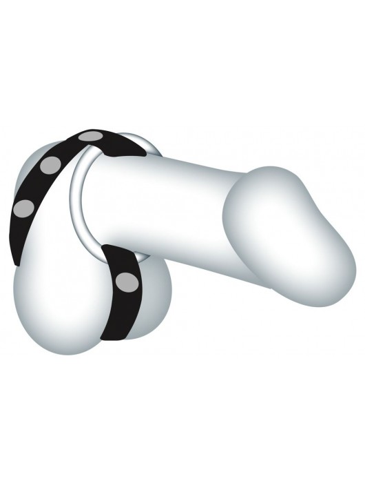 Подхват для мошонки с 3 съемными эрекционными кольцами Leder-Riemen - Orion - в Люберцах купить с доставкой