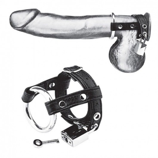 Утяжка на пенис на замочке Duo Cock And Ball Lock - BlueLine - купить с доставкой в Люберцах