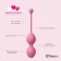 Набор из 3 розовых вагинальных шариков FemmeFit Advanced Pelvic Muscle Training Set - FeelzToys в Люберцах Набор из 3 розовых вагинальных шариков FemmeFit Advanced Pelvic Muscle Training Set - FeelzToys
