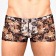 Мужские сетчатые боксеры с бежевыми розами Rose Boxer - Romeo Rossi купить с доставкой Мужские сетчатые боксеры с бежевыми розами Rose Boxer - Romeo Rossi купить с доставкой
